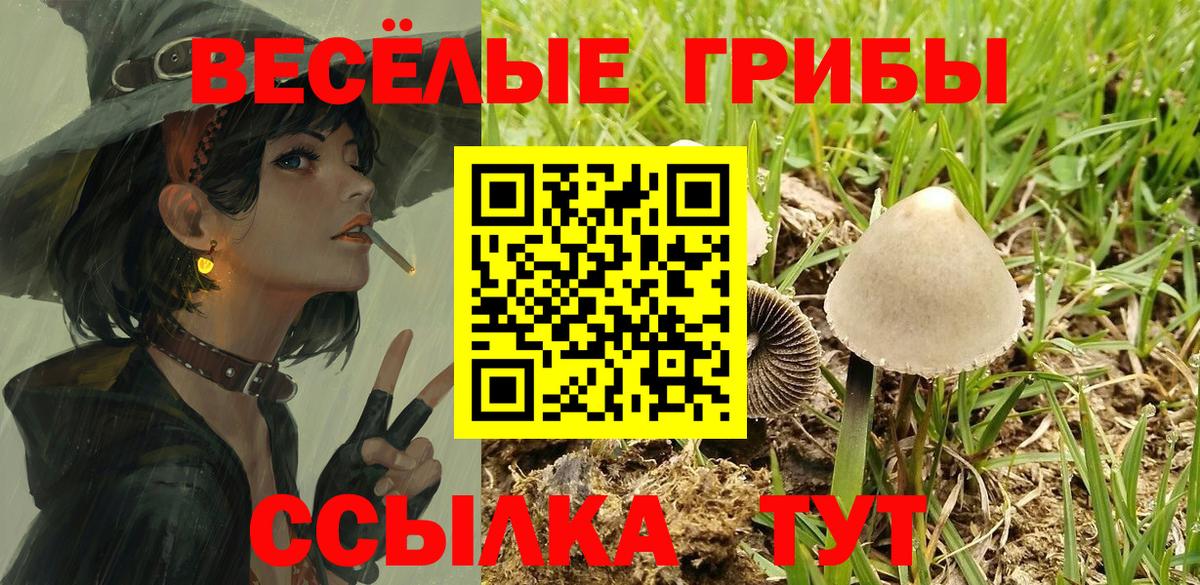 Ярославль  Псилоцибиновые грибы Magic Shrooms  Вход с VPN 